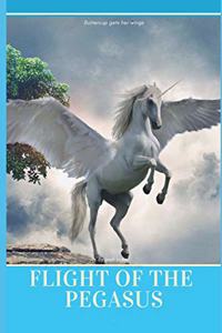 Flight of the Pegasus