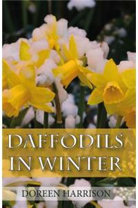 Daffodils in Winter