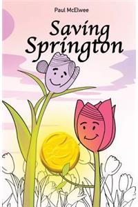 Saving Springton