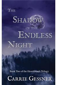 The Shadow of the Endless Night