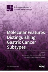 Molecular Features Distinguishing Gastric Cancer Subtypes