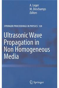 Ultrasonic Wave Propagation in Non Homogeneous Media