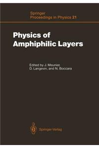 Physics of Amphiphilic Layers