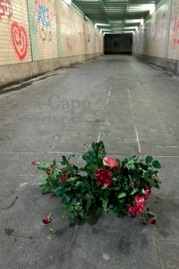 Da Capo