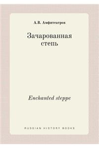 Enchanted Steppe