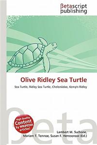 Olive Ridley Sea Turtle