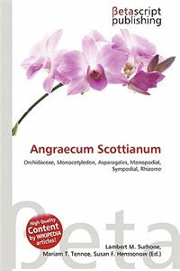 Angraecum Scottianum