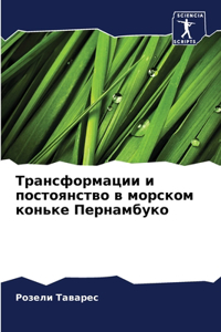 Трансформации и постоянство в морском кl