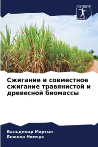 Сжигание и совместное сжигание травянис