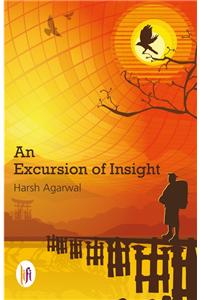 An Excursion of Insight