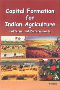 Capital Formation for Indian Agriculture: Patterns and Determinants