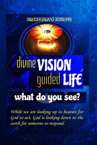 Divine Vision Guided Life