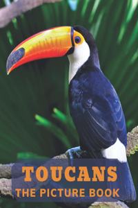 Toucans