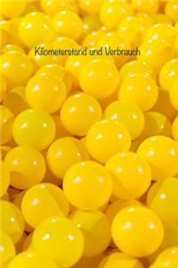 Kilometerstand und Verbrauch