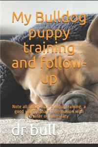 My Bulldog puppy training and follow-up