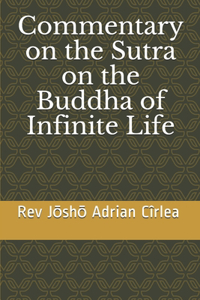 Commentary on the Sutra on the Buddha of Infinite Life