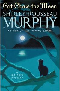 Cat Chase the Moon
