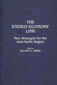 Energy-Economy Link