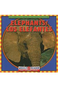 Elephants / Los Elefantes
