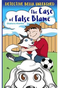 Case of False Blame