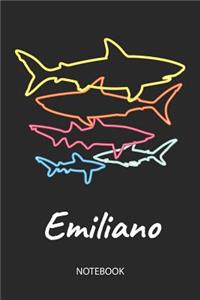 Emiliano - Notebook