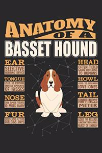 Anatomy Of A Basset Hound