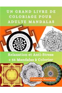 Grand Livre de Coloriage Pour Adulte Mandalas