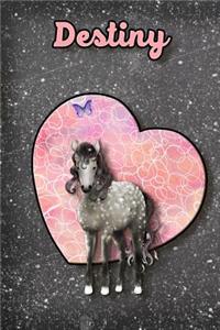 Dapple Dreams Destiny