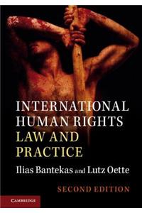 International Human Rights Law and Practice