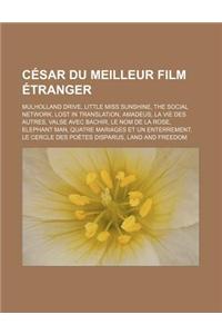 Cesar Du Meilleur Film Etranger