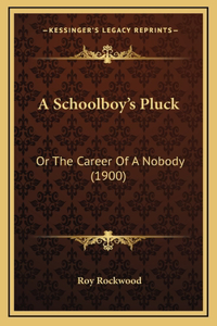 A Schoolboy's Pluck