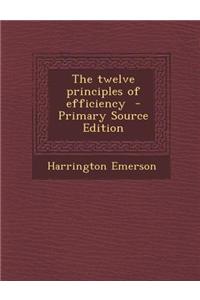 The Twelve Principles of Efficiency