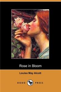 Rose in Bloom