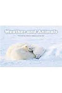 Steck-Vaughn Pair-It Books Foundation: Leveled Reader Bookroom Package Weather and Animals