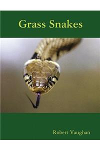 Grass Snakes