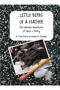Little Birds of a Feather
