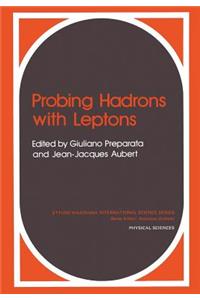 Probing Hadrons with Leptons