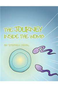 The Journey Inside the Womb