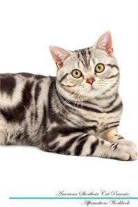 American Shorthair Cat Affirmations Workbook American Shorthair Cat Presents