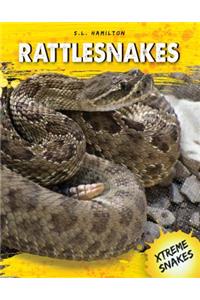 Rattlesnakes