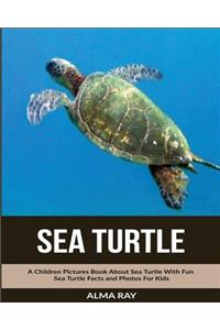 Sea Turtle