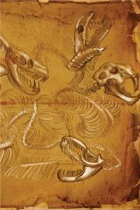 Hydra Skeleton Journal