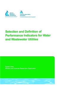 Selection and Definition of Performance Indicators for Water and Wastewater Utilities