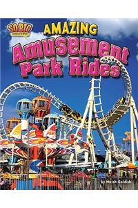 Amazing Amusement Park Rides