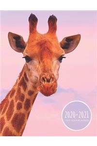 Two Year Planner 2020-2021