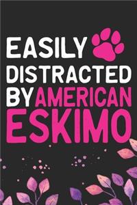 Easily Distracted by American Eskimo