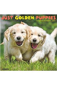 Just Golden Puppies 2017 Wall Calendar