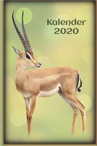 Kalender 2020: Jahreskalender 2020 mit Grant Gazelle - 1 Woche auf 2 Seiten in Farbe - DIN A5 linert - Softcover