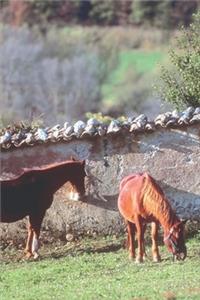 2020 Weekly Planner Horse Photo Equine Horses Pasture 134 Pages