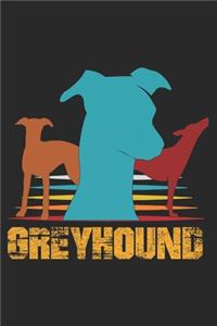 Greyhound